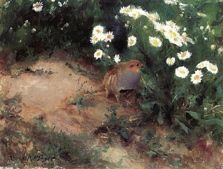 bruno liljefors Partridge with Daisies